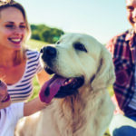 Grief Coach for Pet Loss Program Healing Hearts After Saying Goodbye