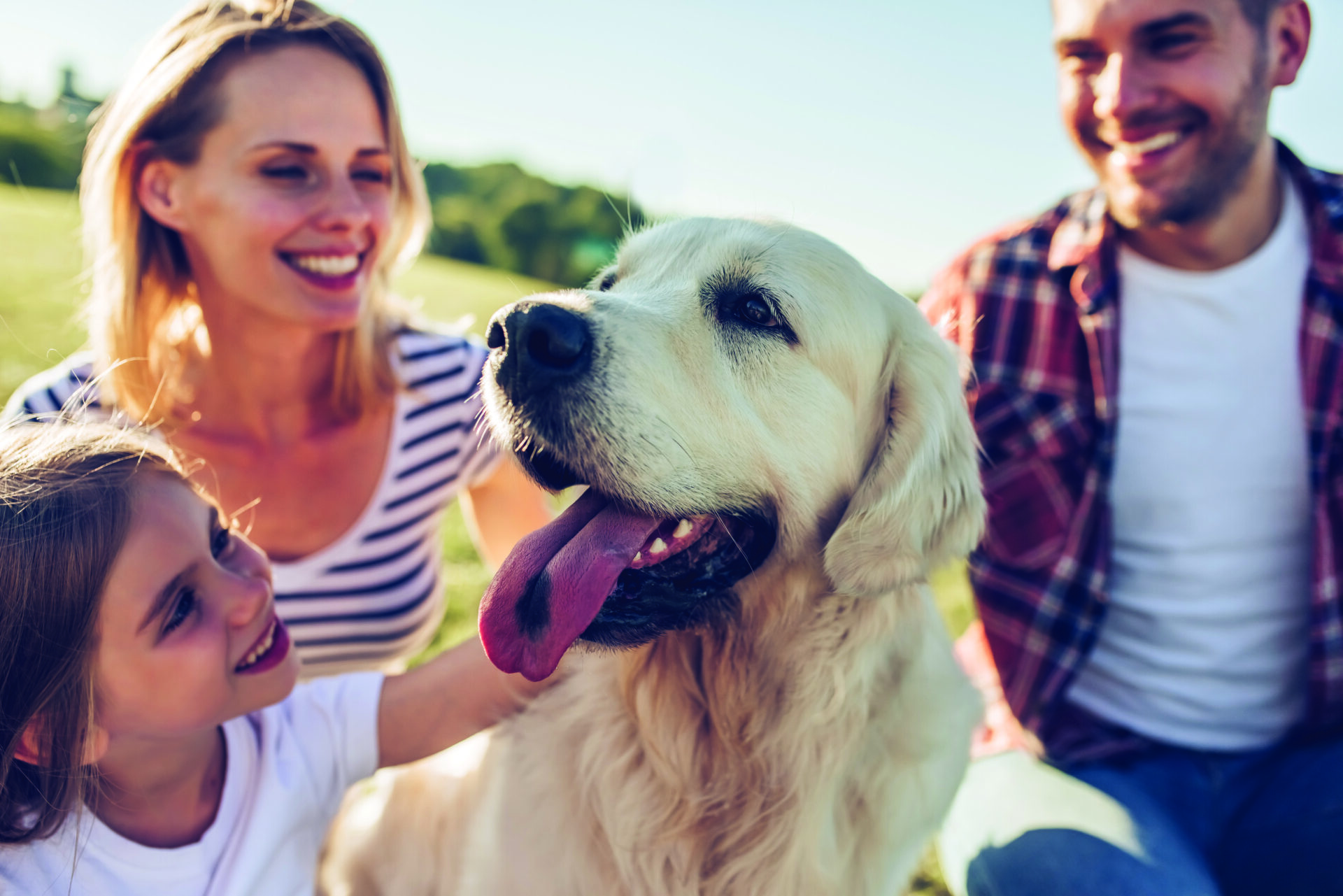 Grief Coach for Pet Loss Program Healing Hearts After Saying Goodbye